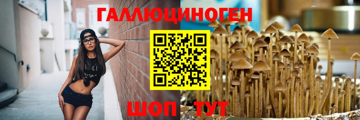 Галлюциногенные грибы прущие грибы  Вход с VPN  Нововоронеж 